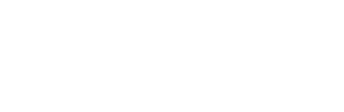 BODYiQ logo